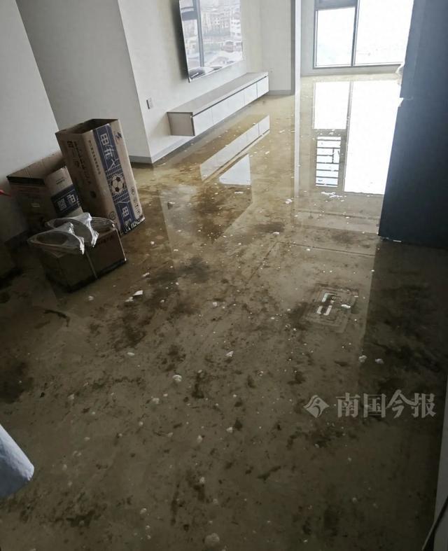 乐鱼中国婚房被粪水浸泡!业主瓦解:全屋都是没法承受